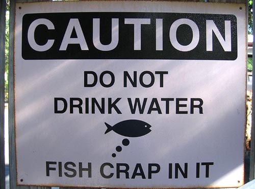 Fish Poop Fish Poop