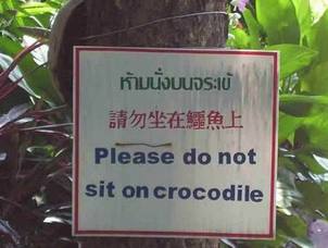 Do Not Sit on the Crocodiles